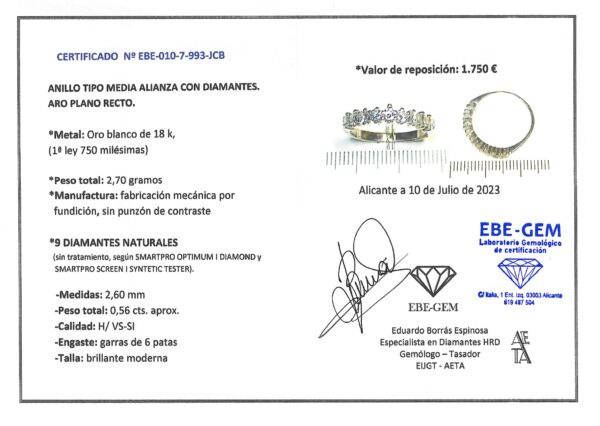 MEDIA ALIANZA 9 BRILLANTES - Imagen 6
