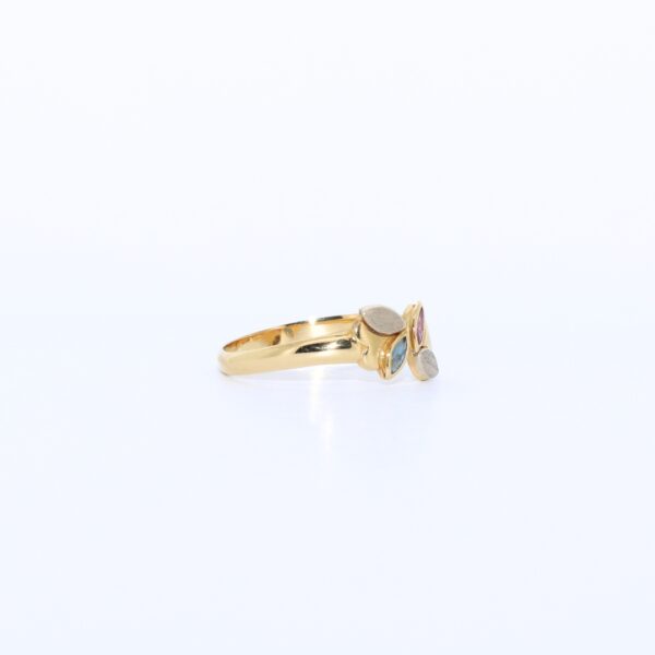 ANILLO MANZANAS - Imagen 2