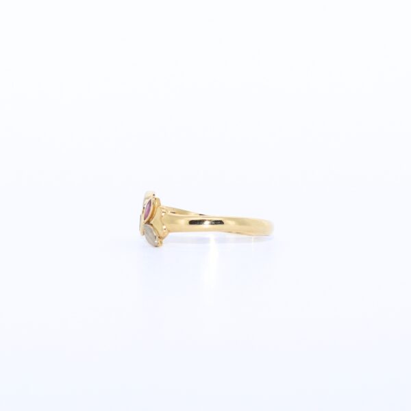 ANILLO MANZANAS - Imagen 3